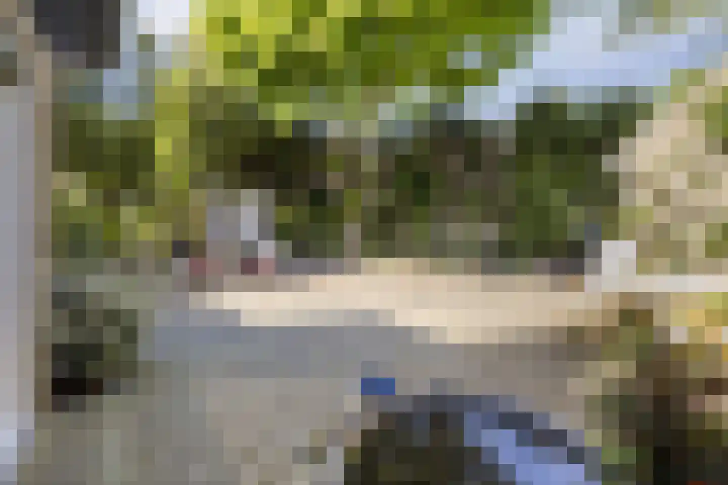 Elbertsveen 19 Blaricum thumbnail 57