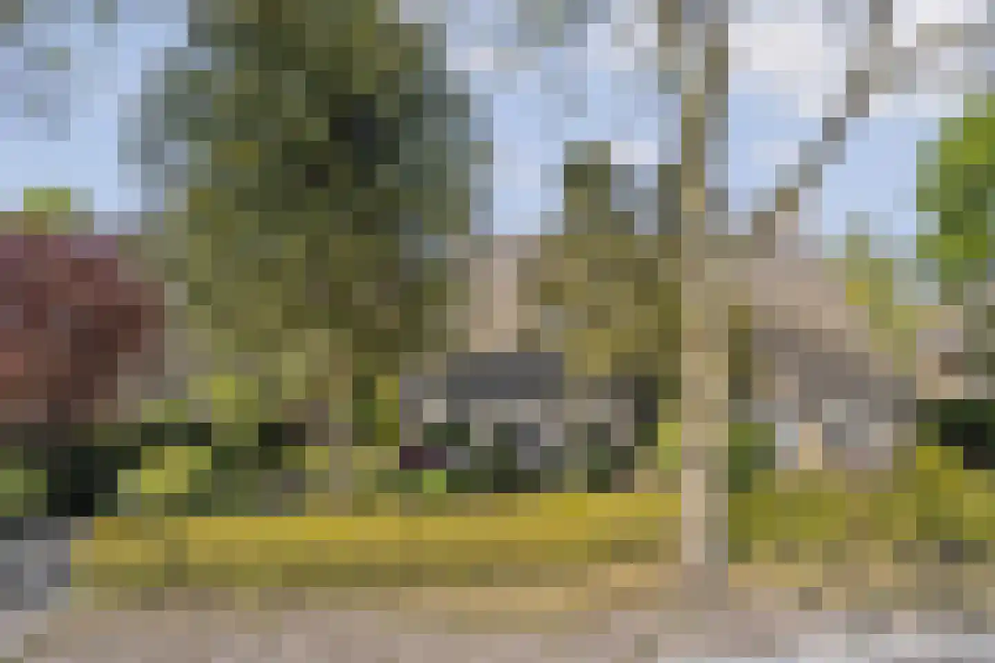 Elbertsveen 19 Blaricum thumbnail 6
