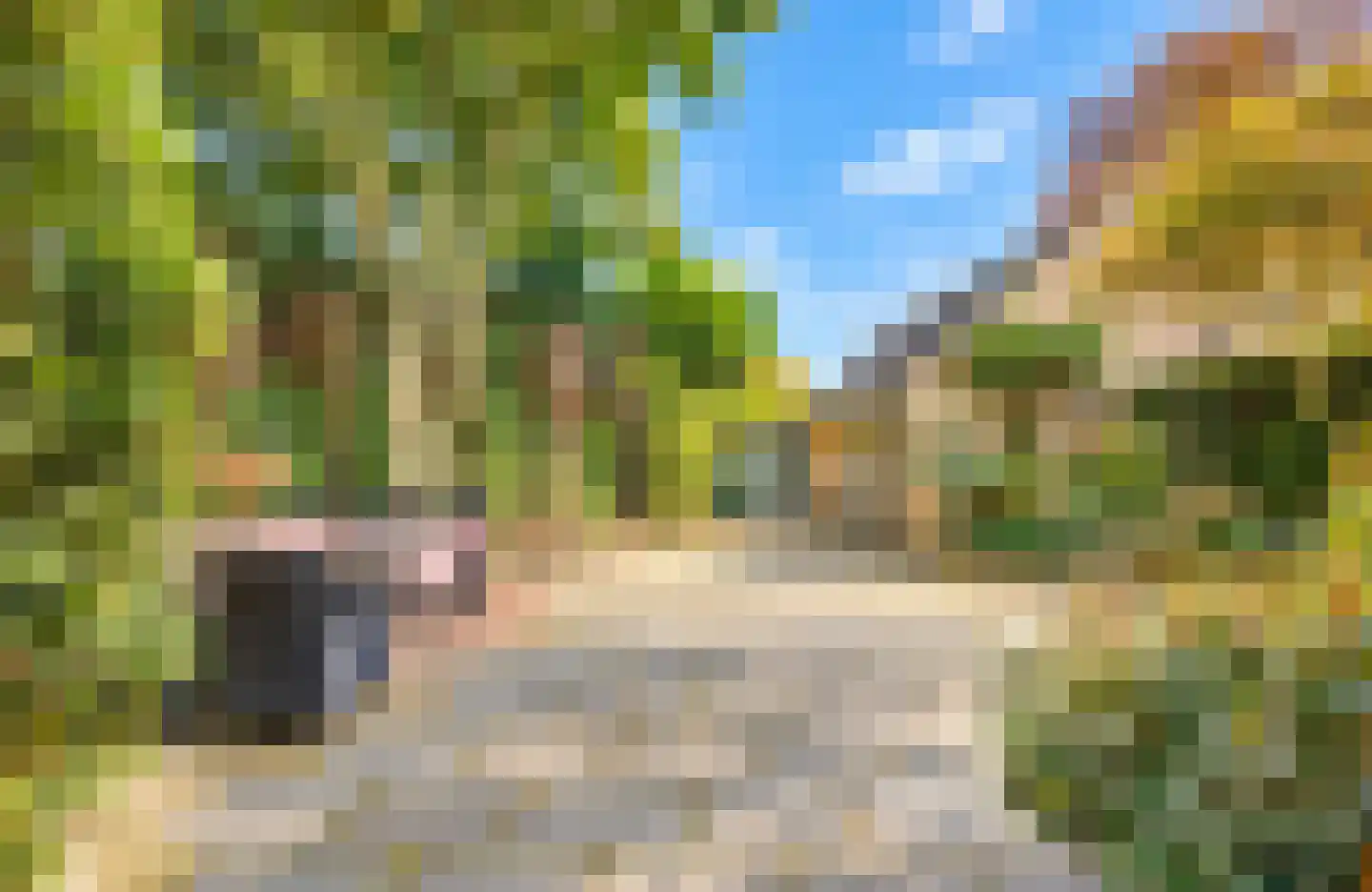 Elbertsveen 19 Blaricum thumbnail 6