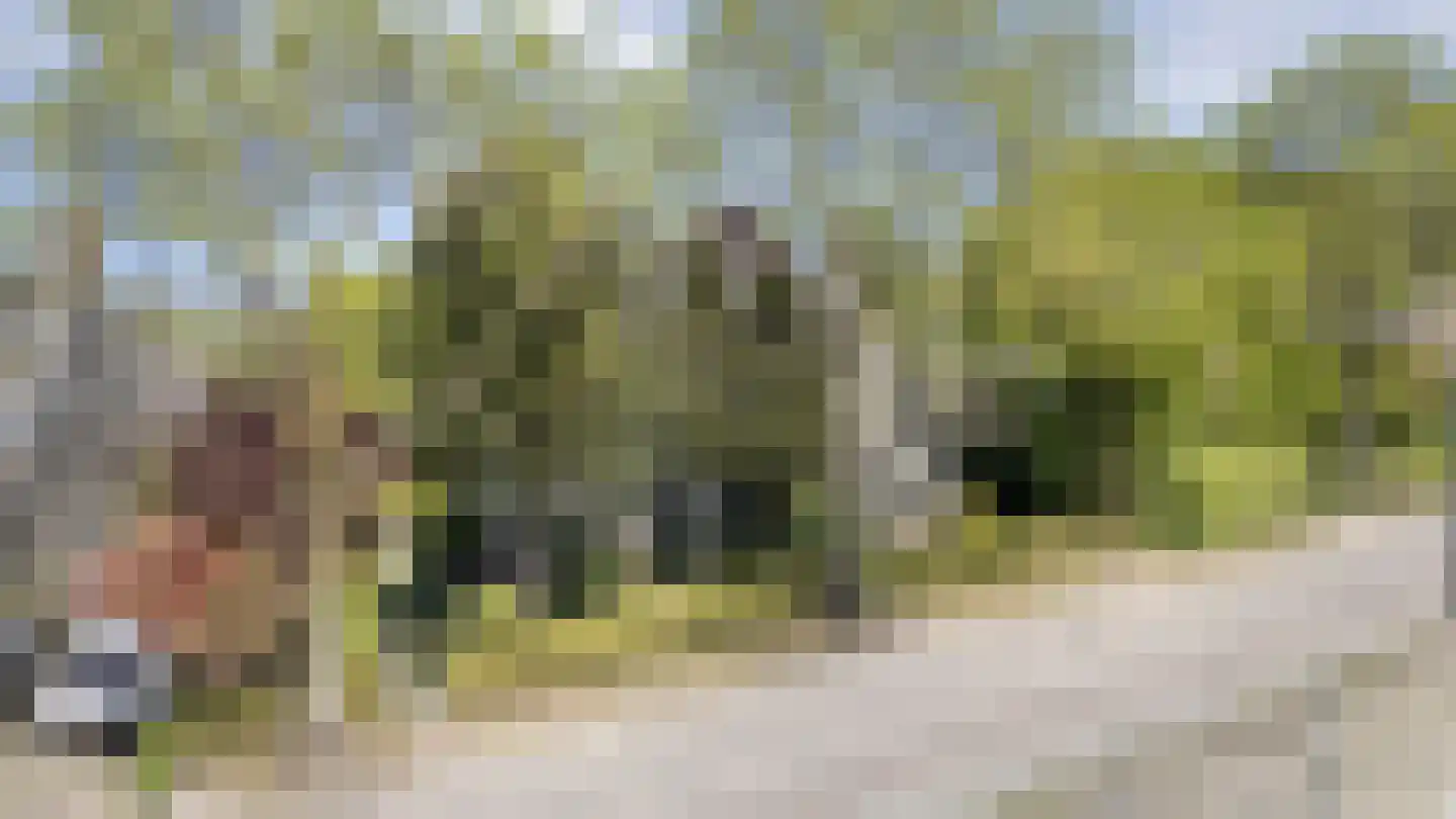 Elbertsveen 19 Blaricum thumbnail 61