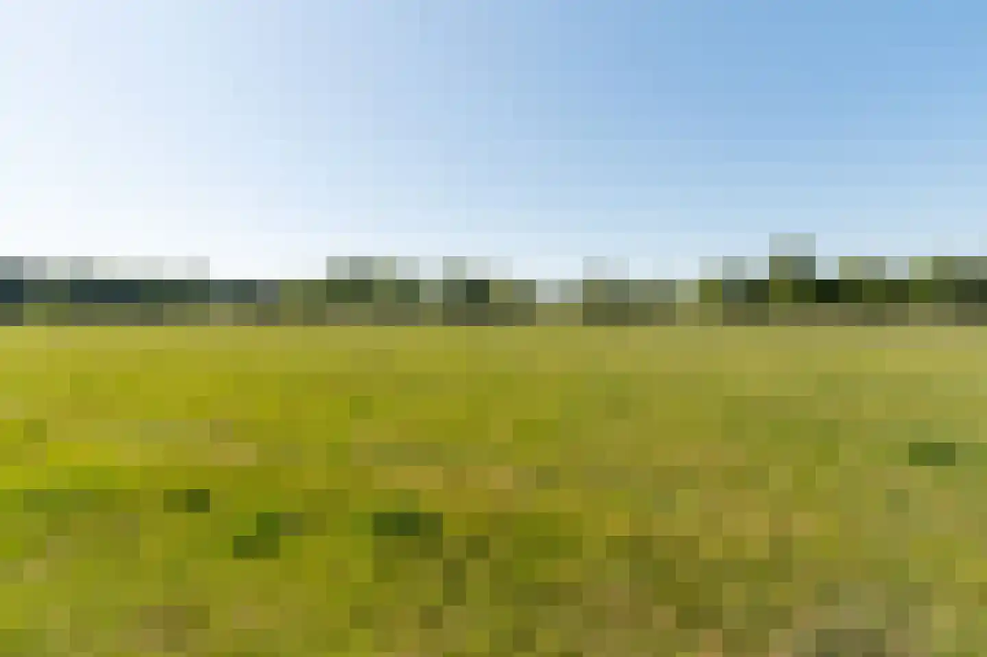 Elbertsveen 19 Blaricum thumbnail 64