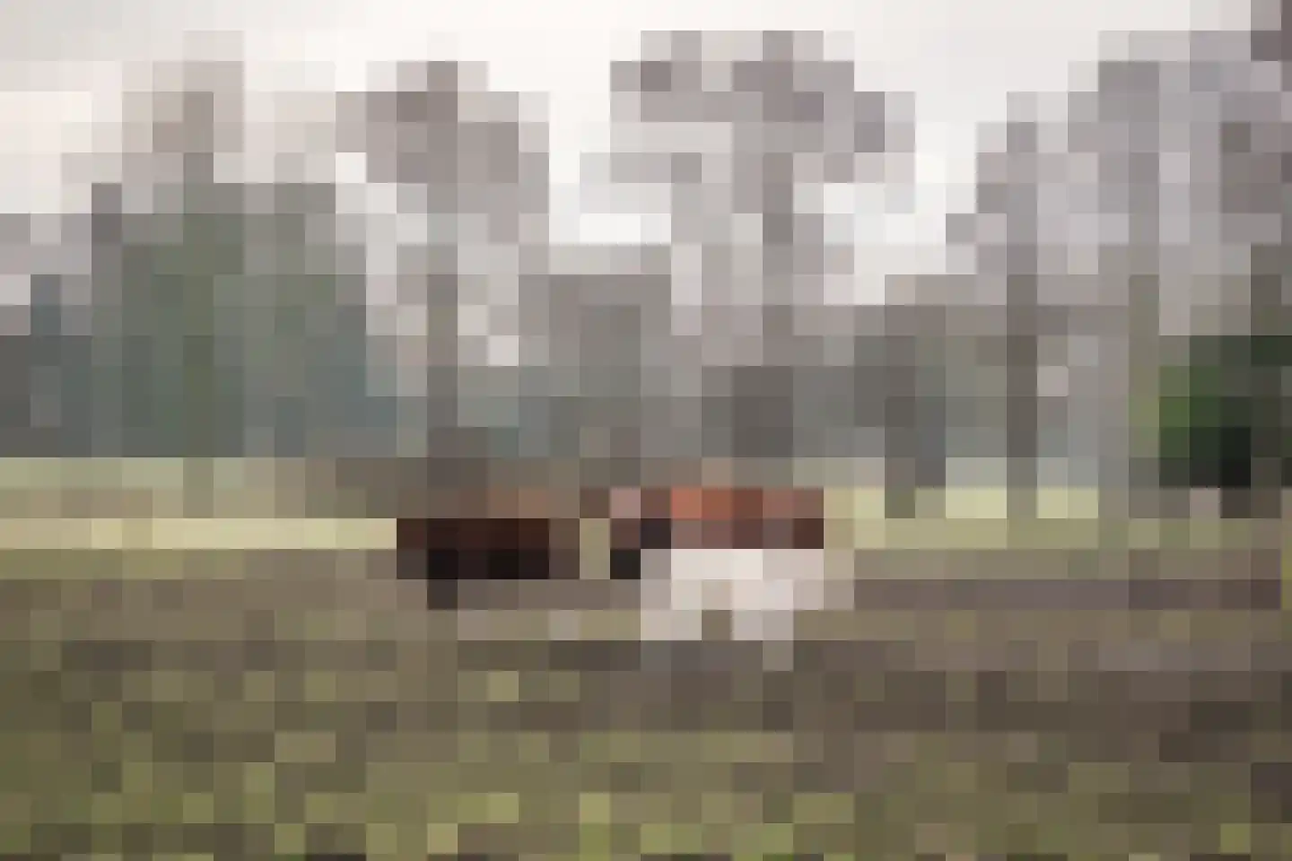 Elbertsveen 19 Blaricum thumbnail 65