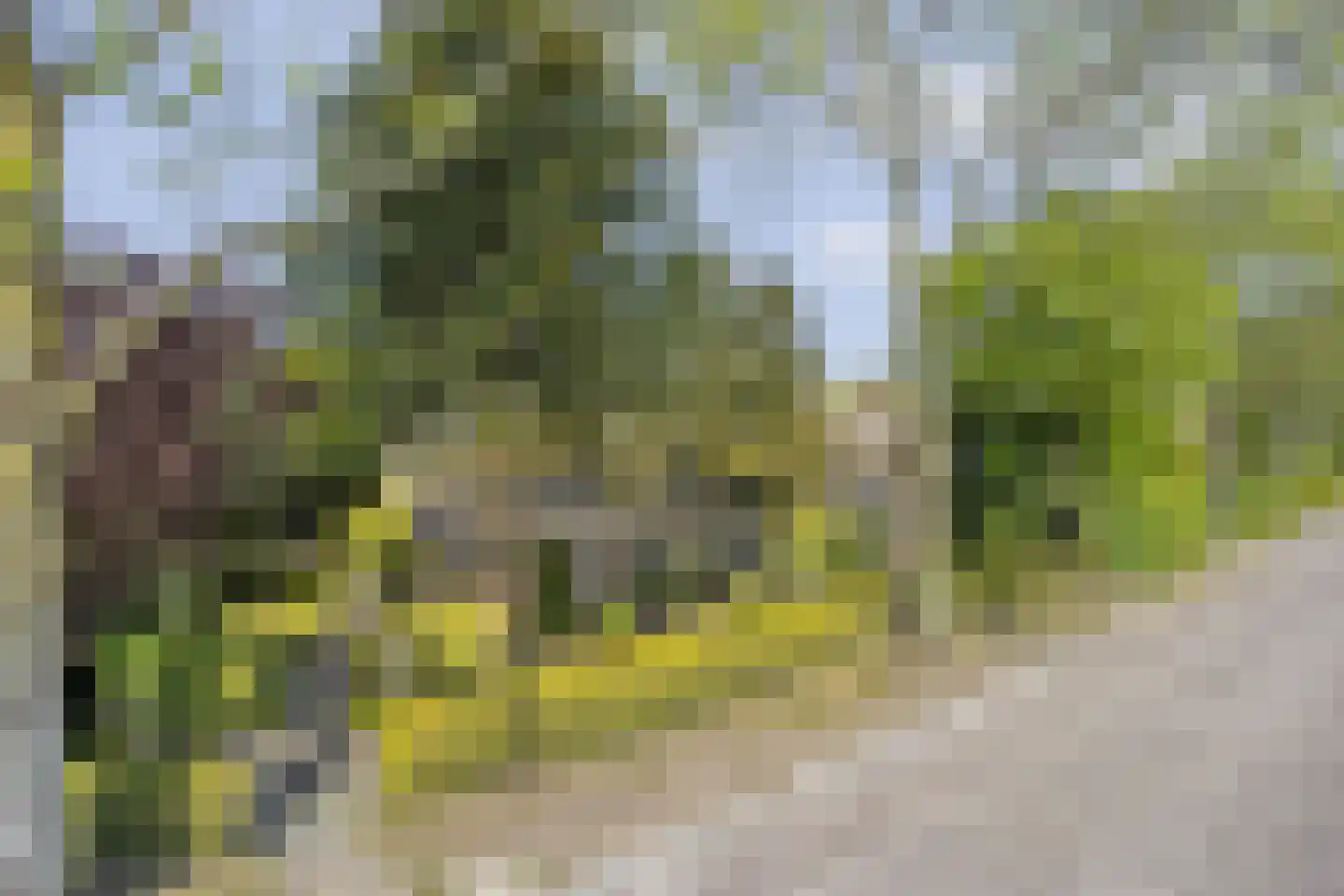 Elbertsveen 19 Blaricum thumbnail 7
