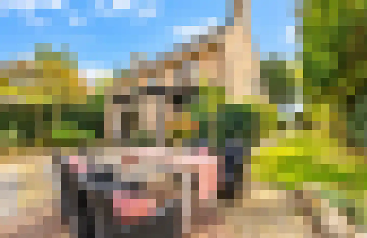 Elbertsveen 19 Blaricum thumbnail 8