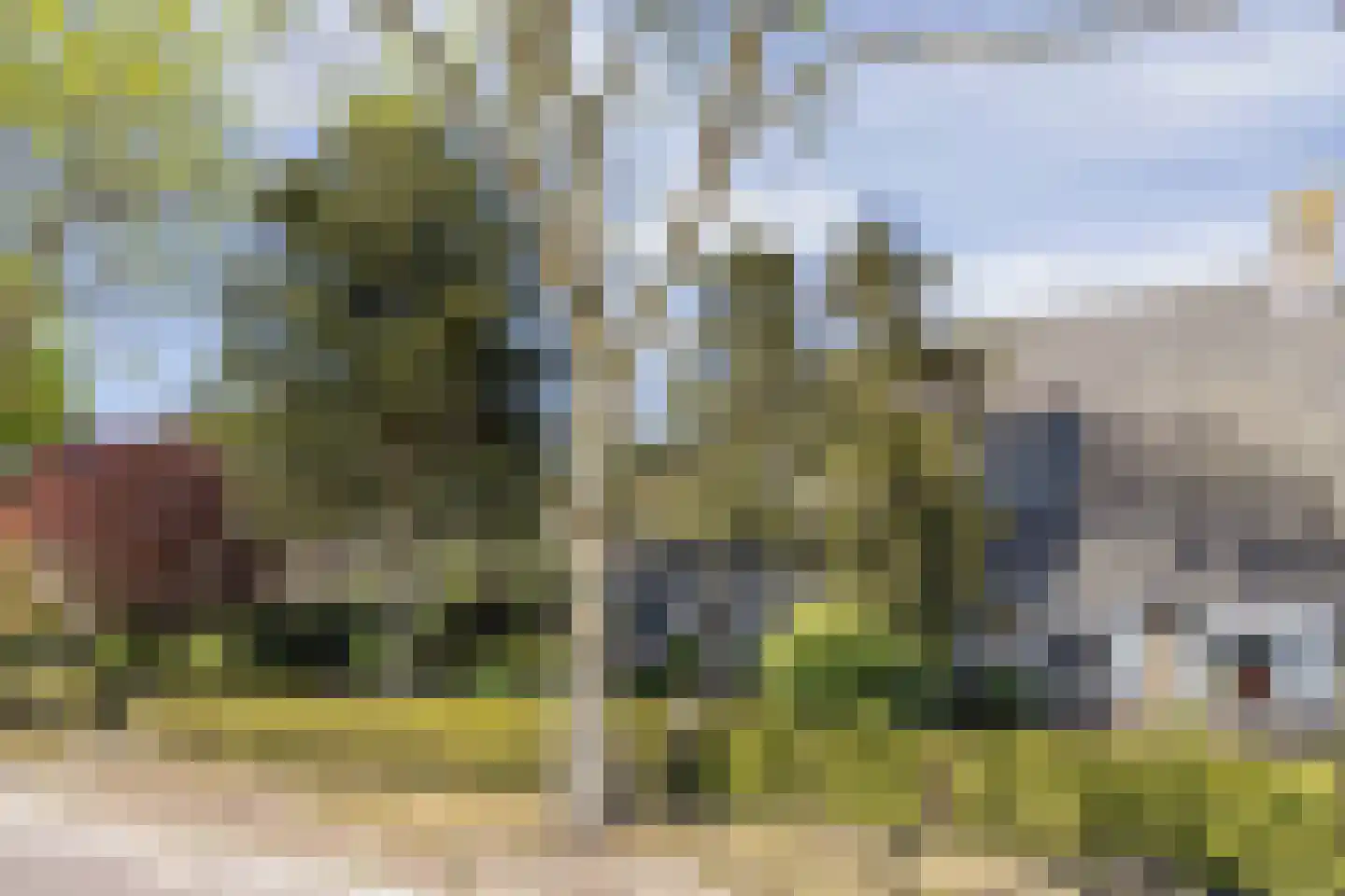 Elbertsveen 19 Blaricum thumbnail 8
