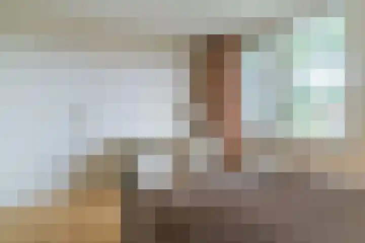Elbestraat 13 Veghel thumbnail 20