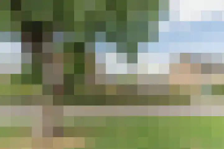 Elbestraat 13 Veghel thumbnail 37