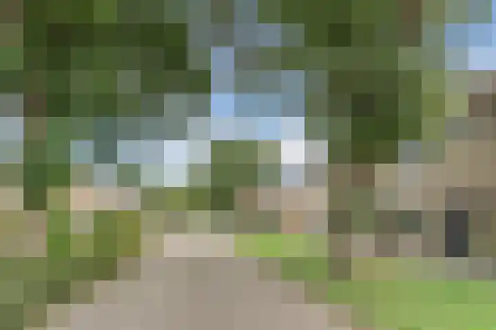 Elbestraat 13 Veghel thumbnail 38