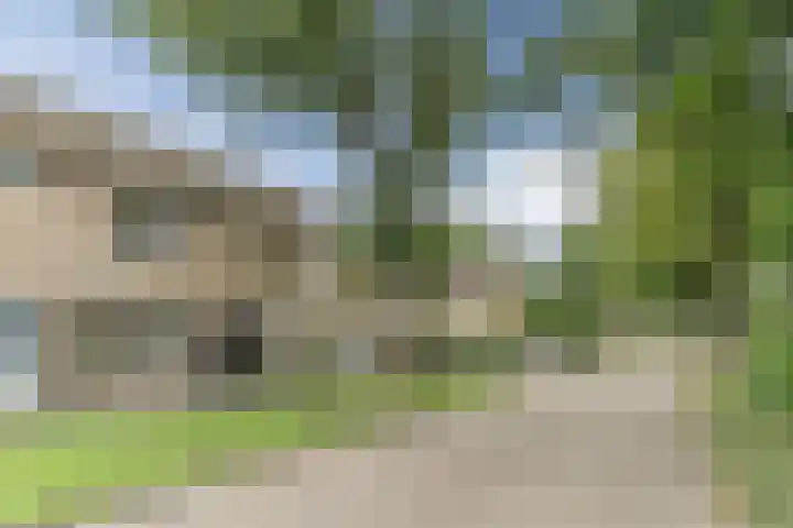 Elbestraat 13 Veghel thumbnail 39