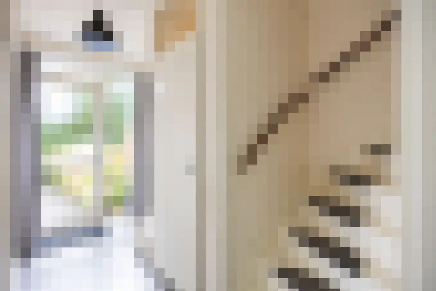 Elbestraat 18 Assen thumbnail 10