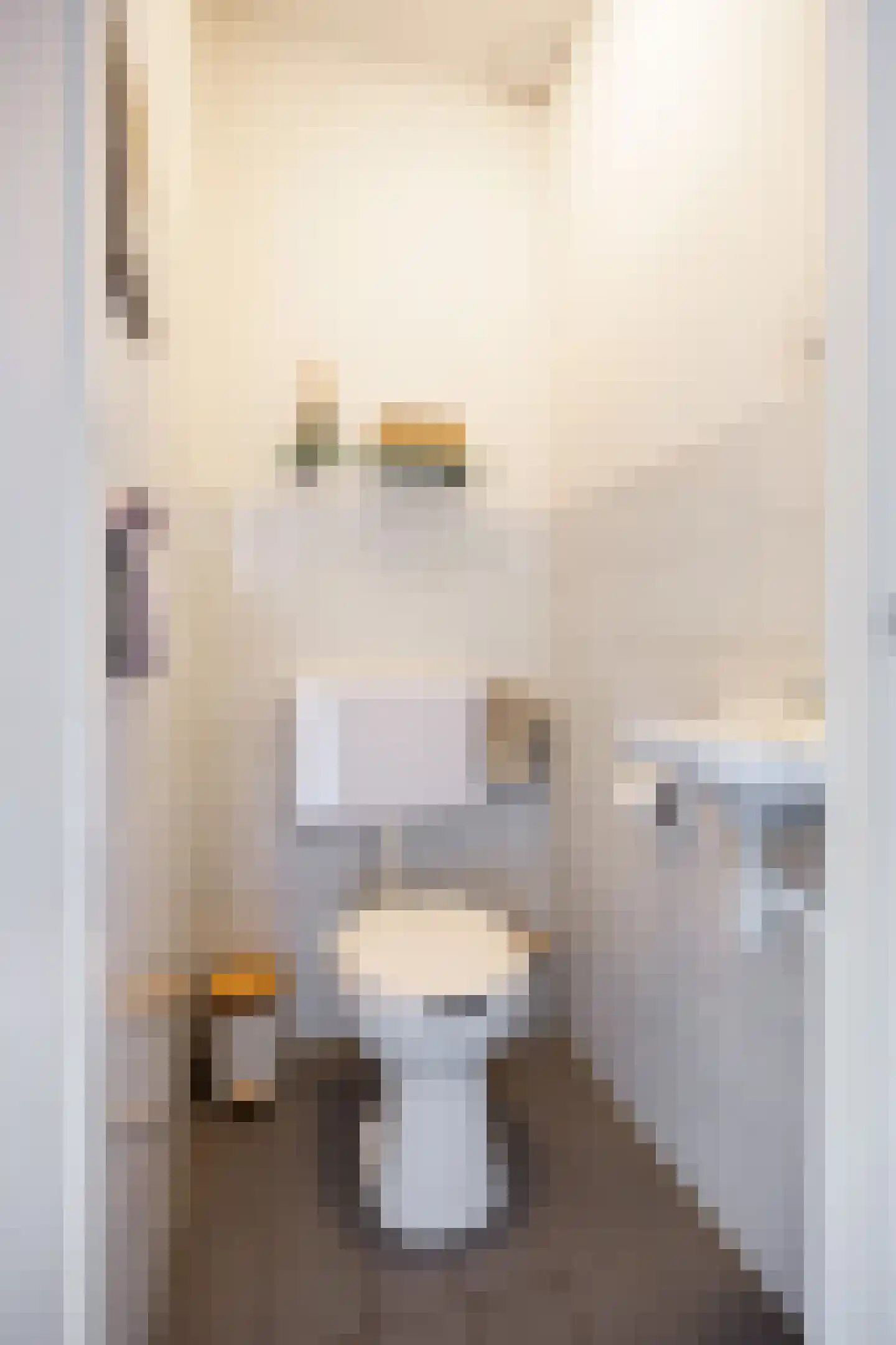 Elbestraat 18 Assen thumbnail 11