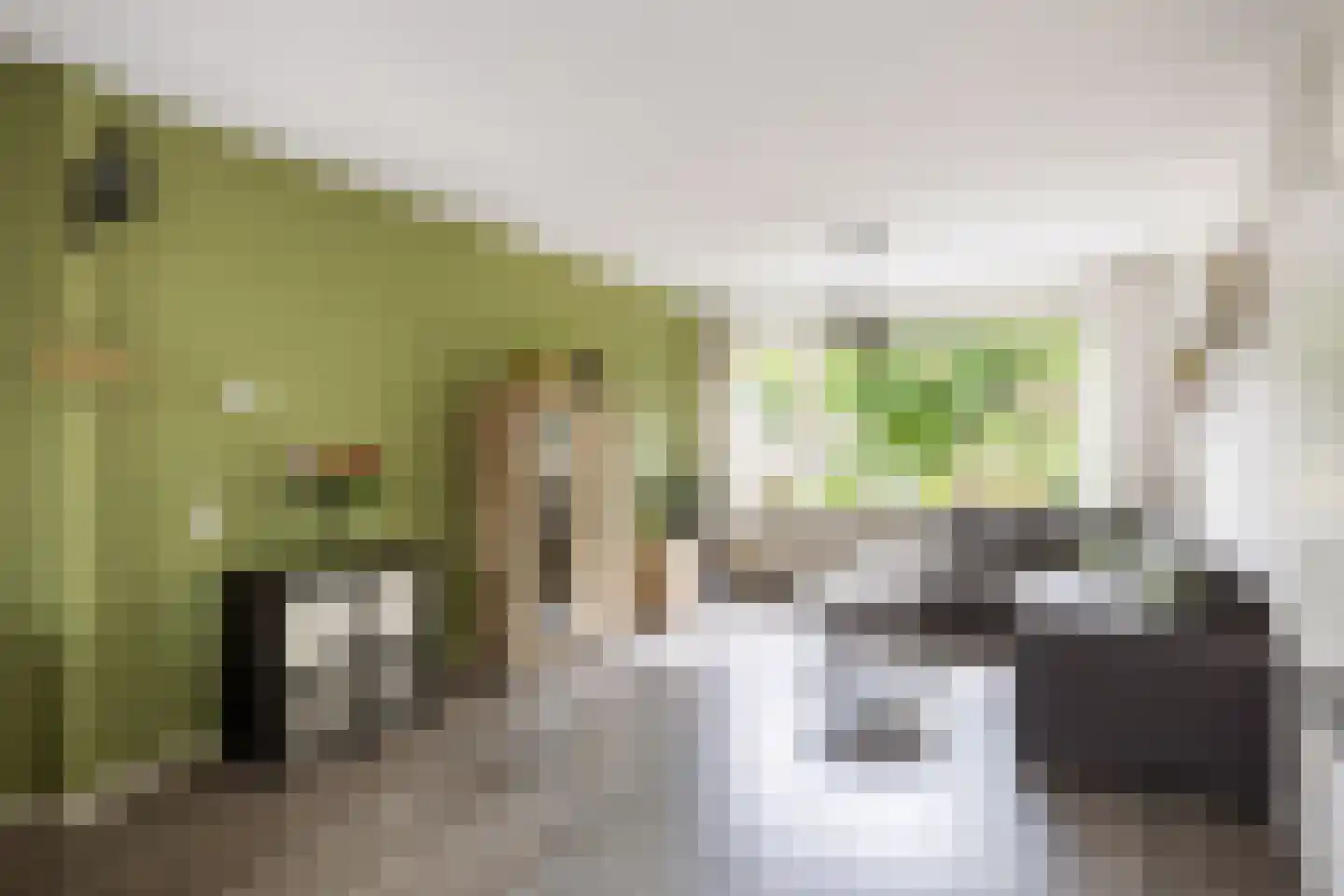 Elbestraat 18 Assen thumbnail 12