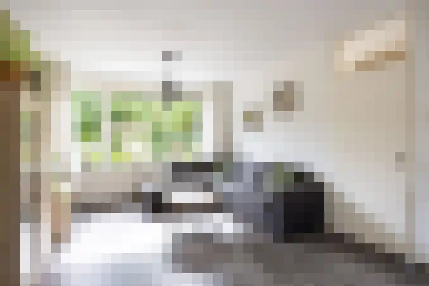 Elbestraat 18 Assen thumbnail 13