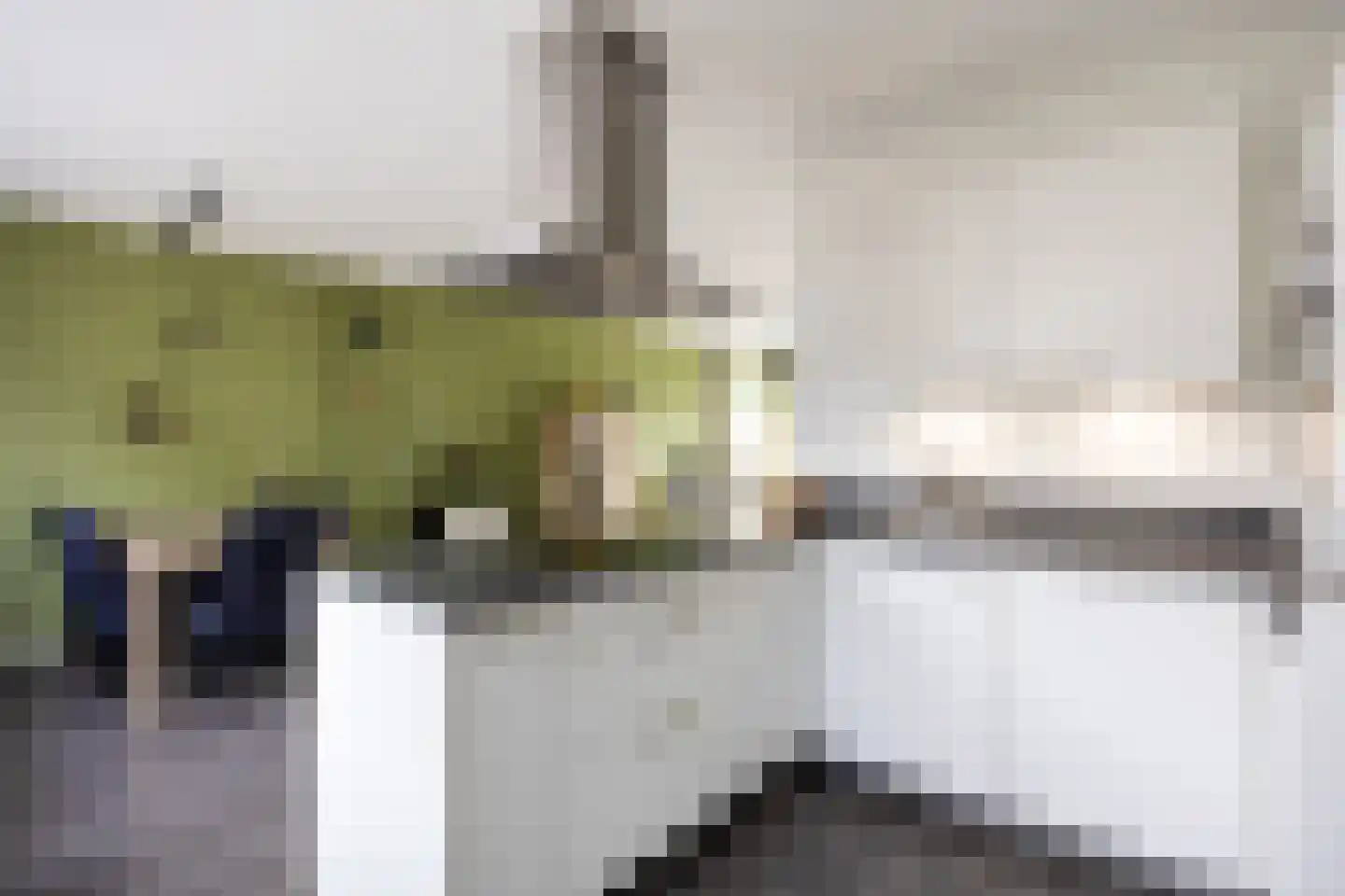 Elbestraat 18 Assen thumbnail 19