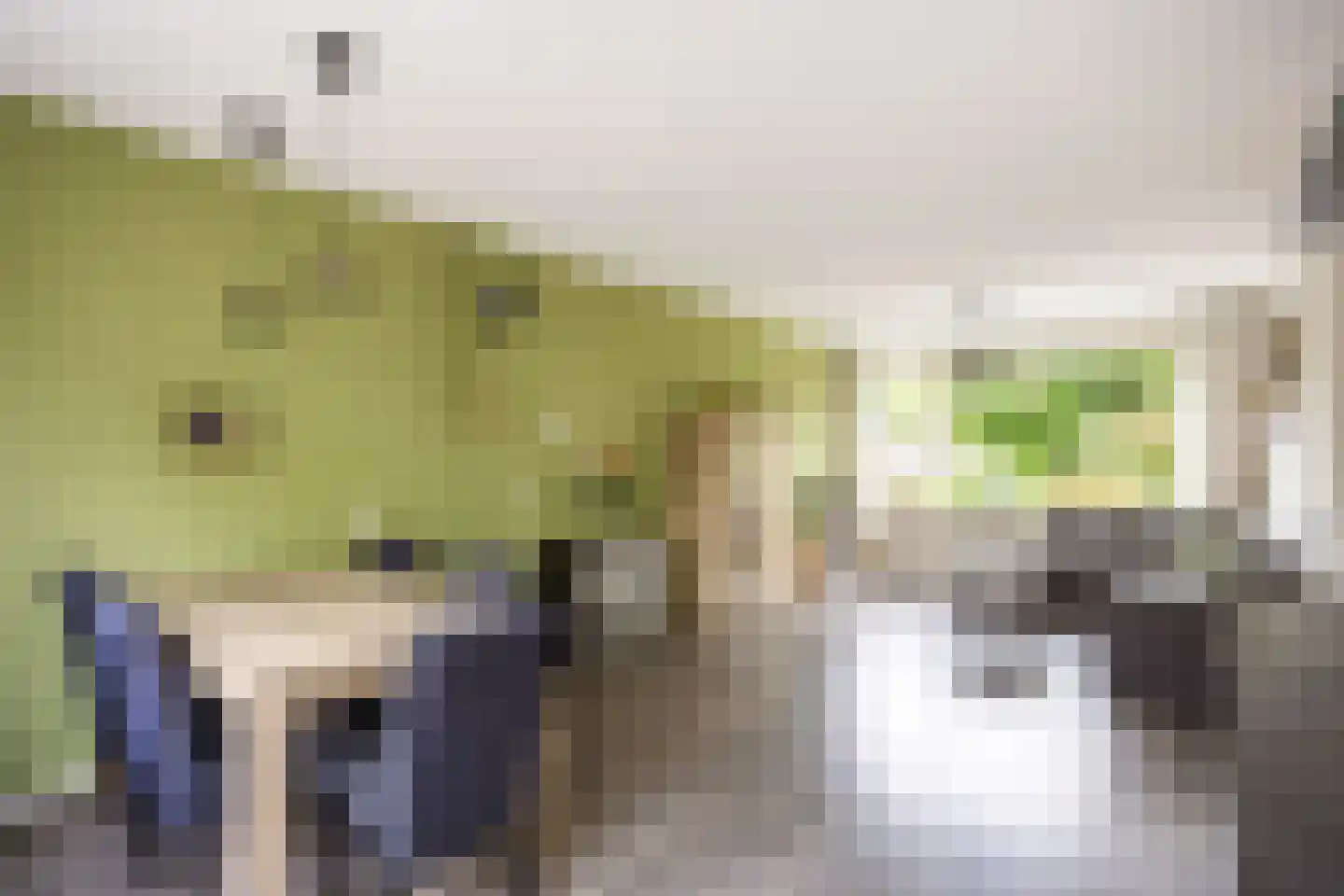 Elbestraat 18 Assen thumbnail 21