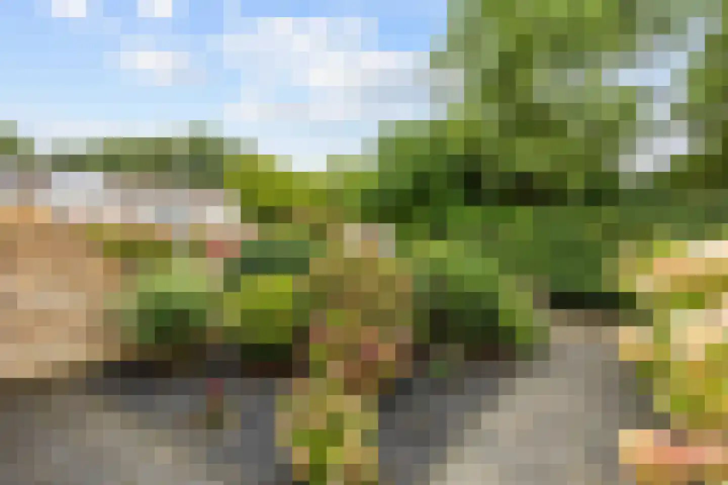 Elbestraat 18 Assen thumbnail 8