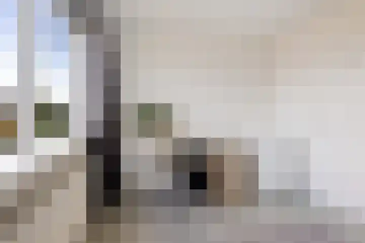 Elbestraat 58 Assen thumbnail 28