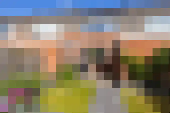 Elbestraat 58 Assen thumbnail 37