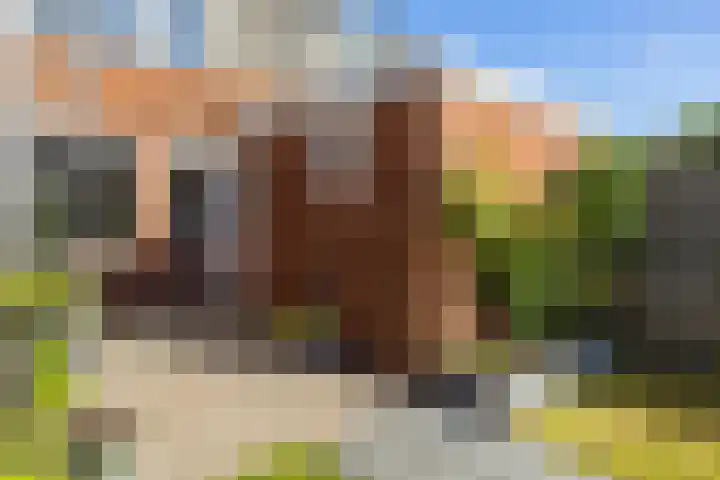 Elbestraat 58 Assen thumbnail 38