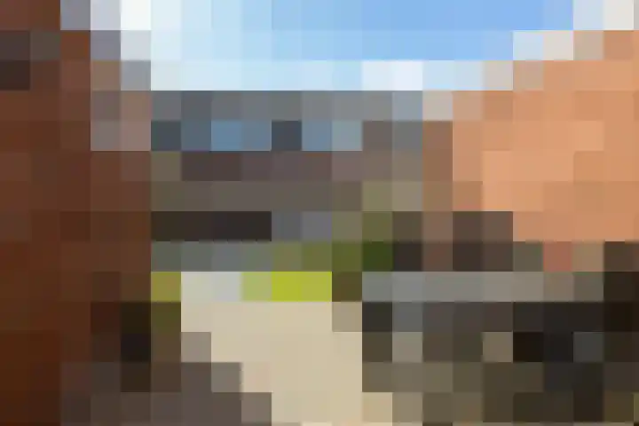 Elbestraat 58 Assen thumbnail 39