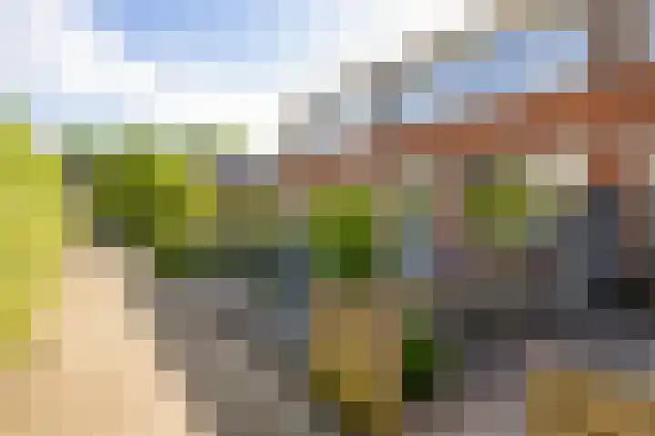 Elbestraat 58 Assen thumbnail 44