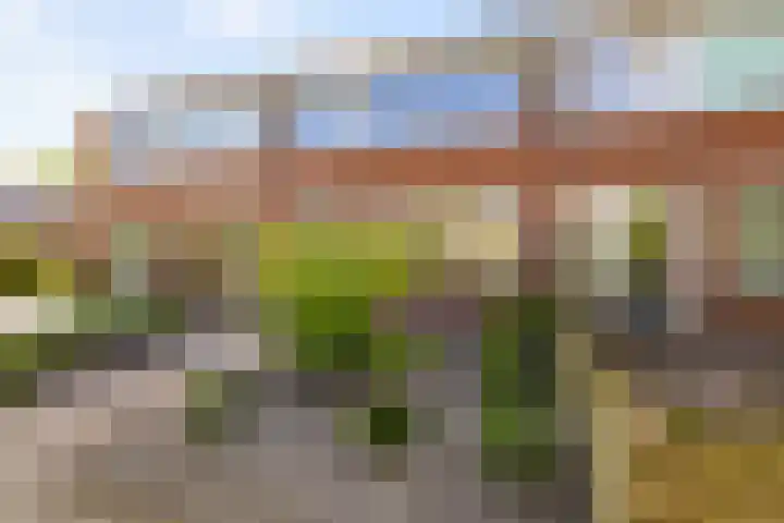 Elbestraat 58 Assen thumbnail 45