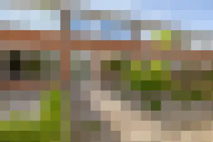Elbestraat 58 Assen thumbnail 49