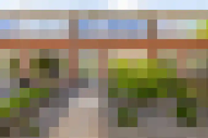 Elbestraat 58 Assen thumbnail 8
