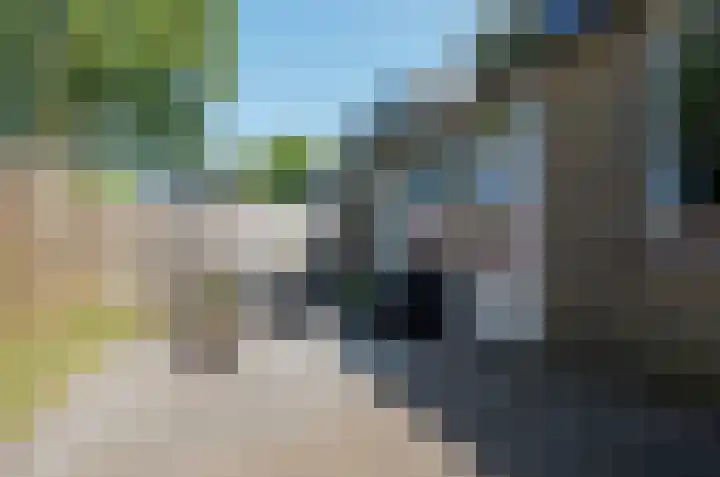 Elbestraat 68 Assen thumbnail 25