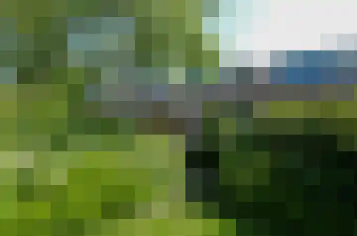 Elbestraat 68 Assen thumbnail 29