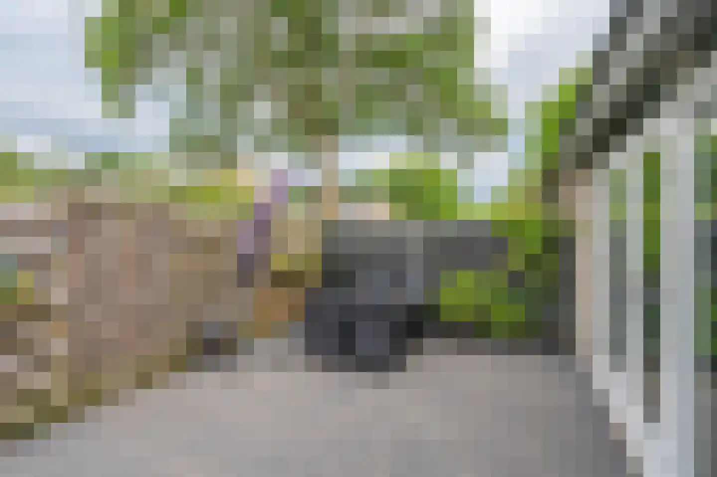 Elbestraat 70 Assen thumbnail 24