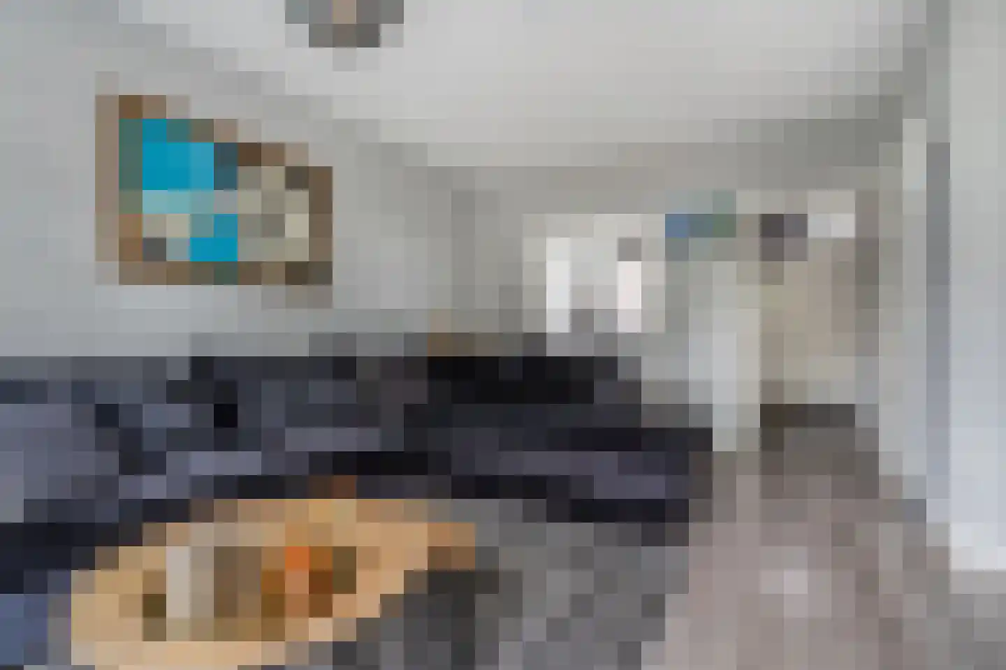 Elbestraat 70 Assen thumbnail 4