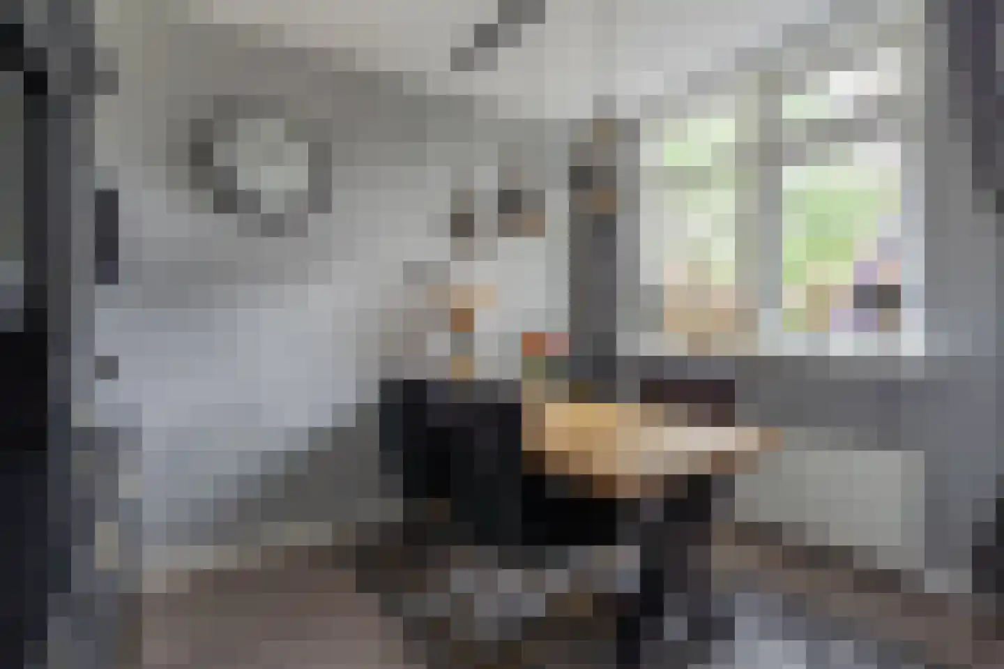 Elbestraat 70 Assen thumbnail 6
