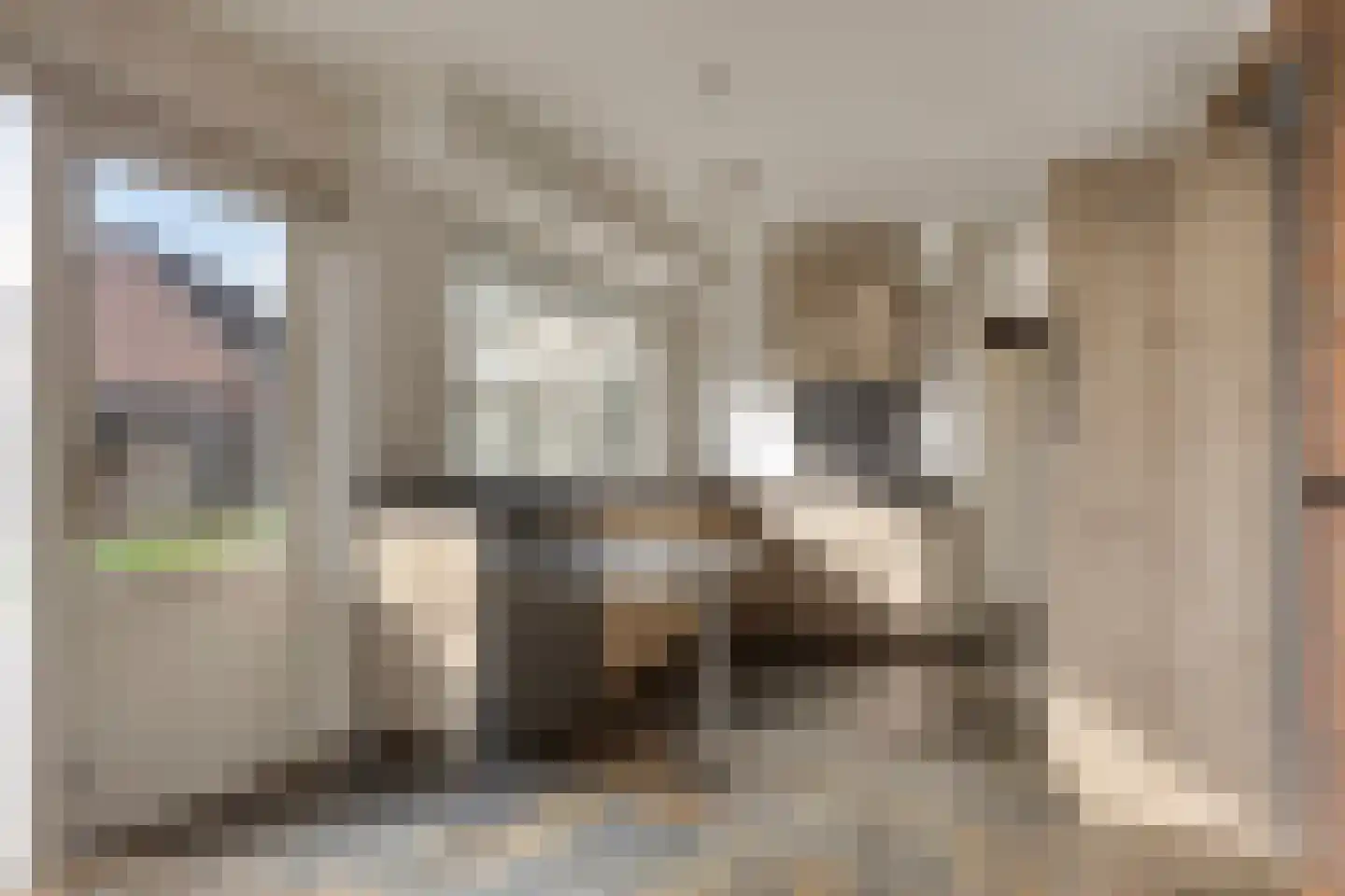 Elburgerweg 1 Heerde thumbnail 10
