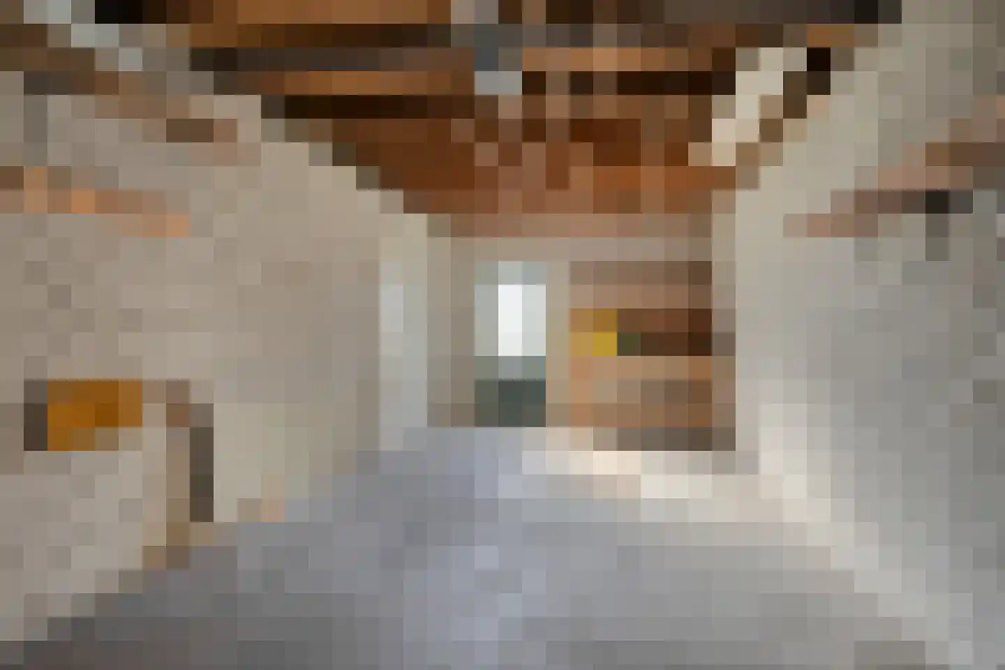 Elburgerweg 1 Heerde thumbnail 25