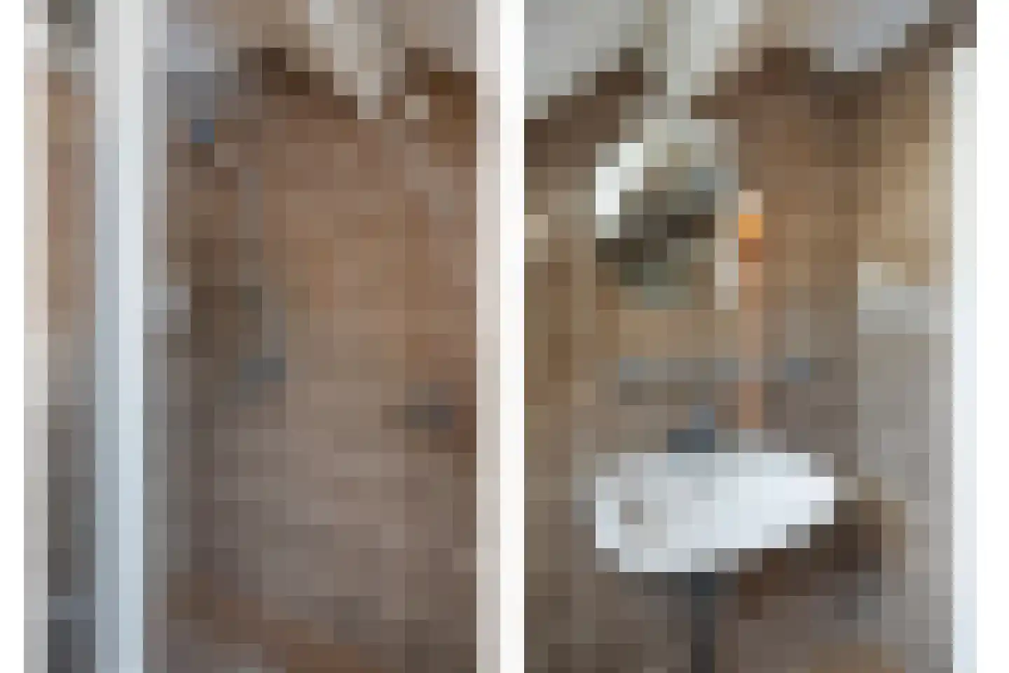 Elburgerweg 1 Heerde thumbnail 32