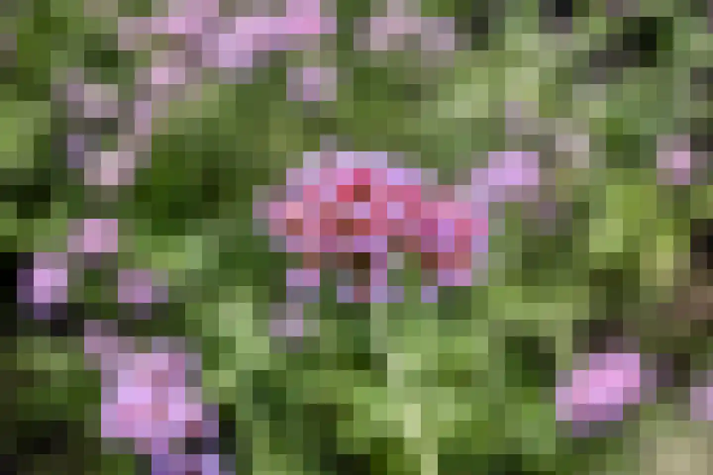 Elburgerweg 1 Heerde thumbnail 41