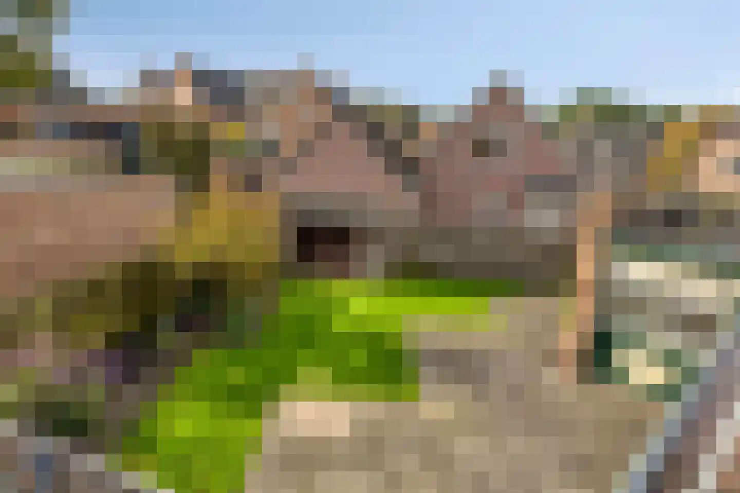 Elburgerweg 1 Heerde thumbnail 42