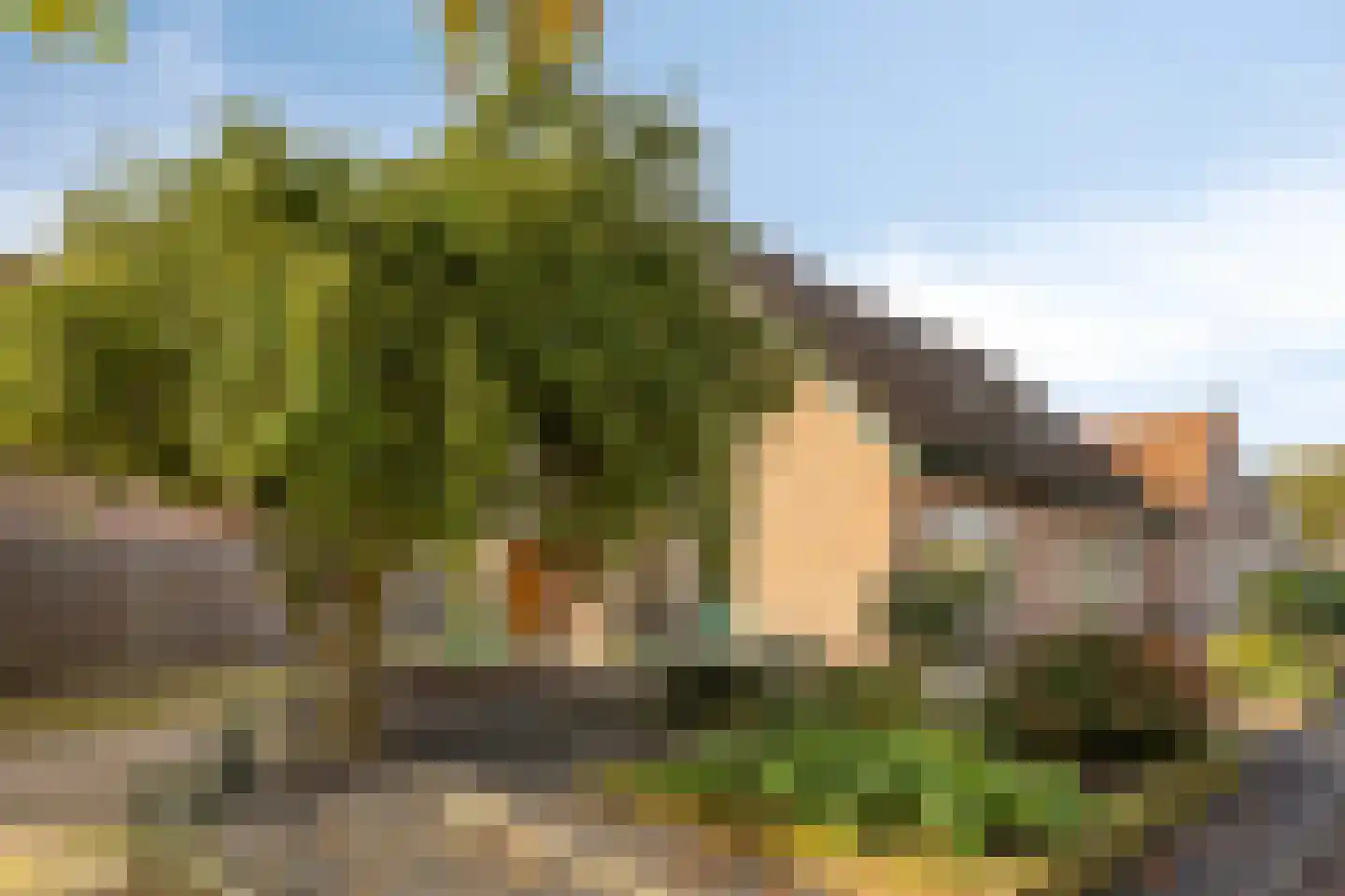 Elburgerweg 1 Heerde thumbnail 44