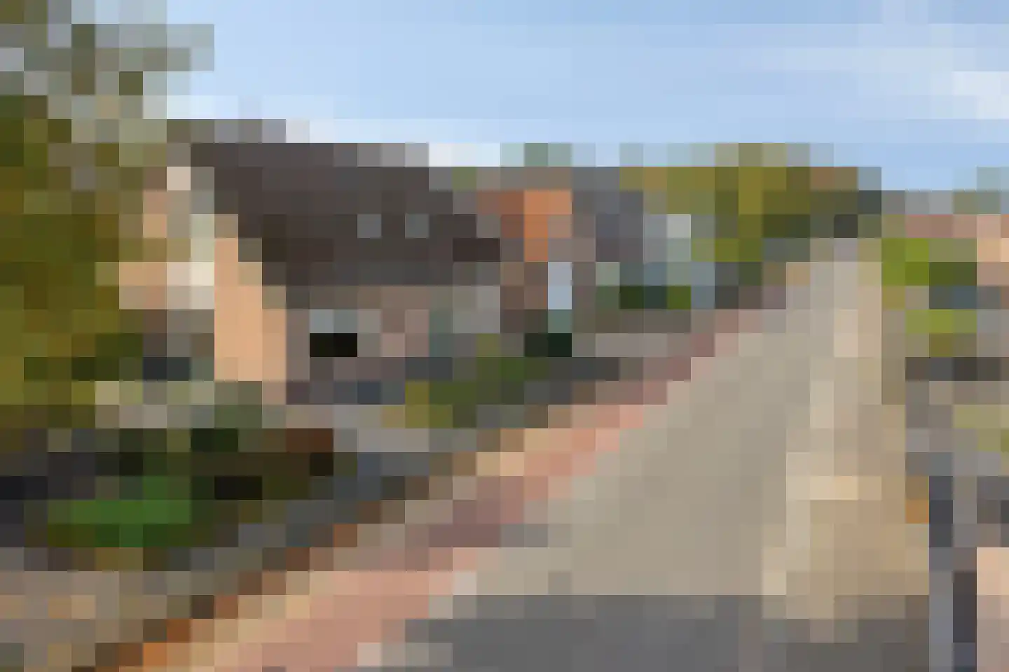 Elburgerweg 1 Heerde thumbnail 50