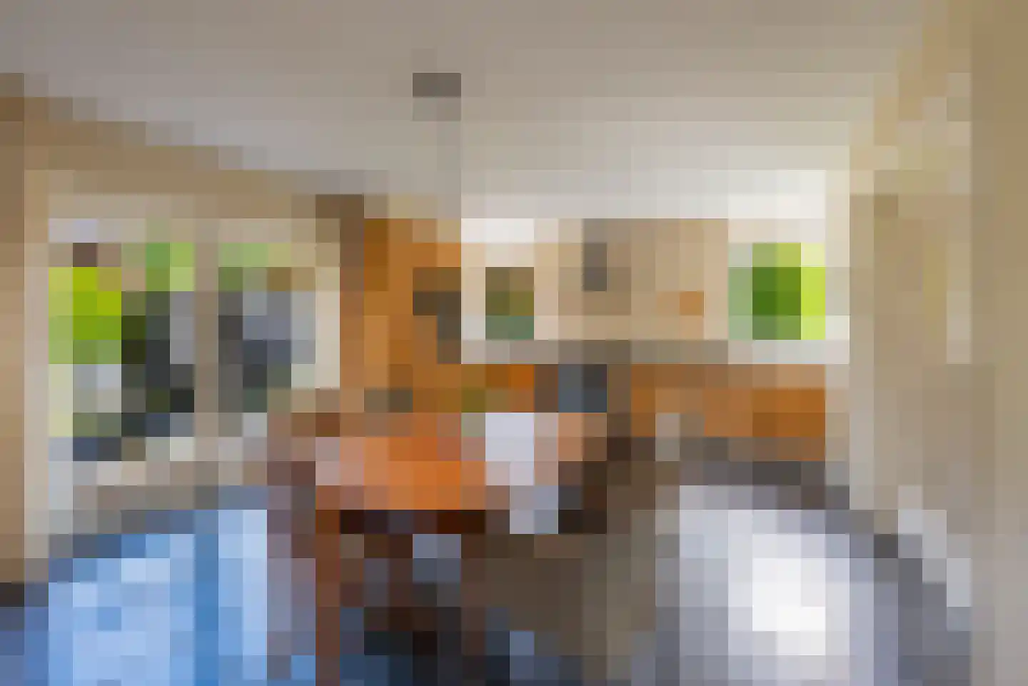 Elburgerweg 22 Heerde thumbnail 10