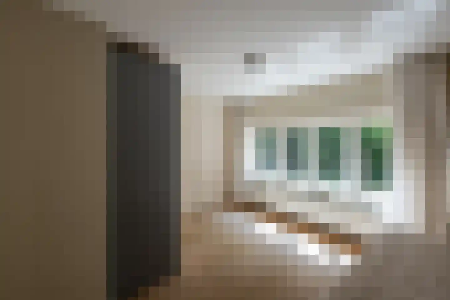 Elburgerweg 22 Heerde thumbnail 33