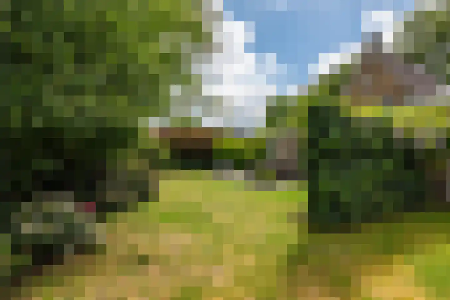 Elburgerweg 22 Heerde thumbnail 43