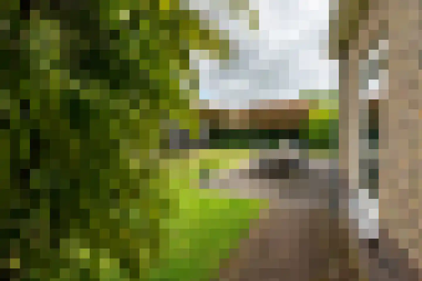 Elburgerweg 22 Heerde thumbnail 44