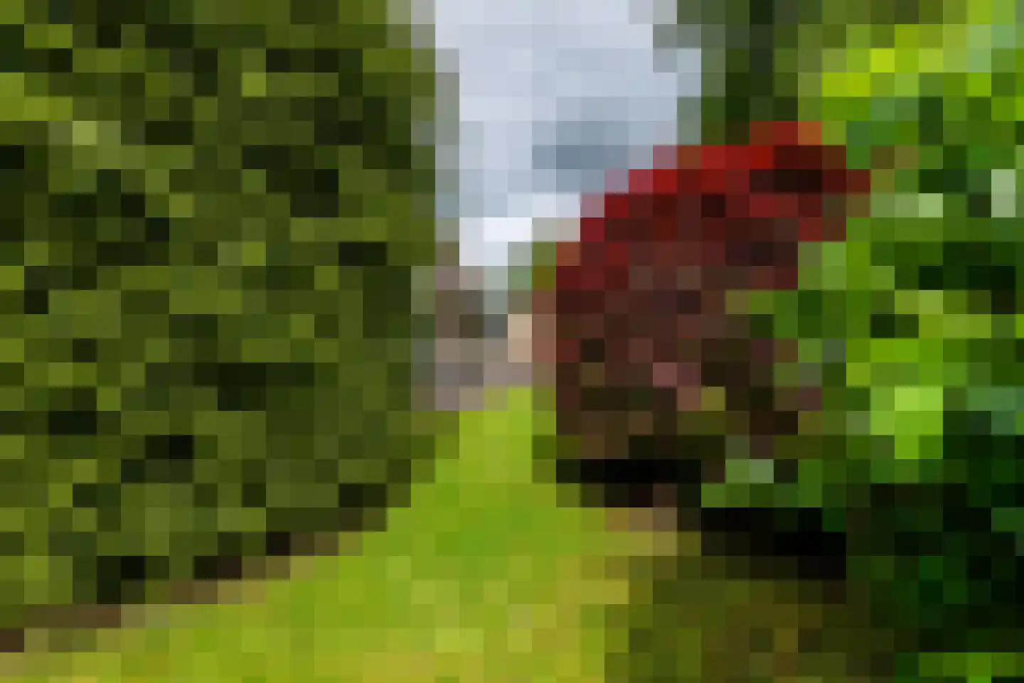 Elburgerweg 22 Heerde thumbnail 48
