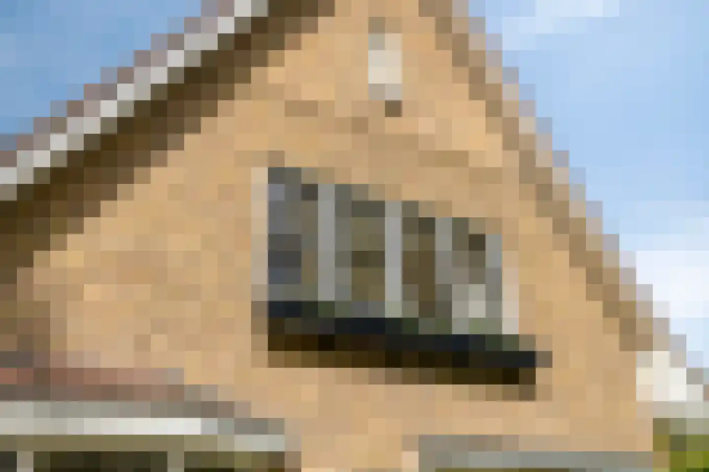 Elburgerweg 22 Heerde thumbnail 56