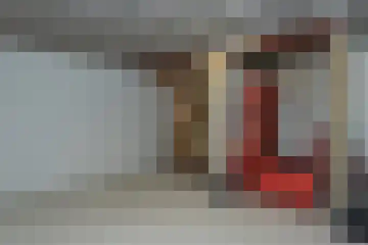 Elburgerweg 4 Hattemerbroek thumbnail 41