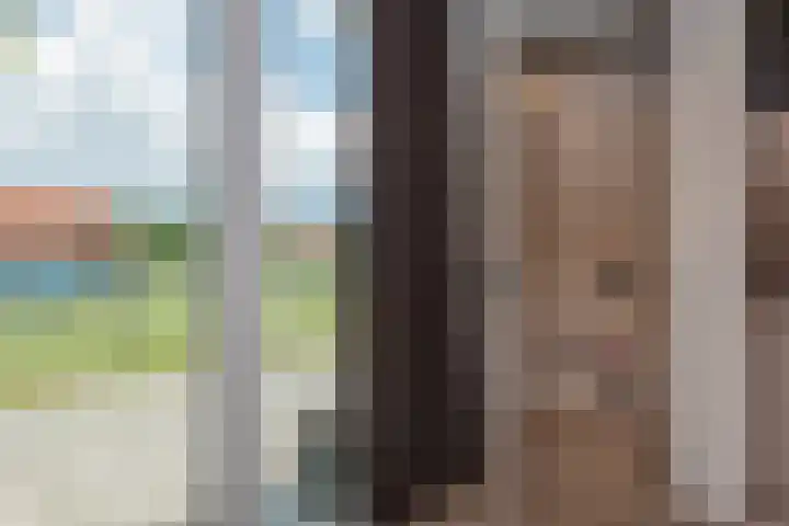 Elburgerweg 4 Hattemerbroek thumbnail 42