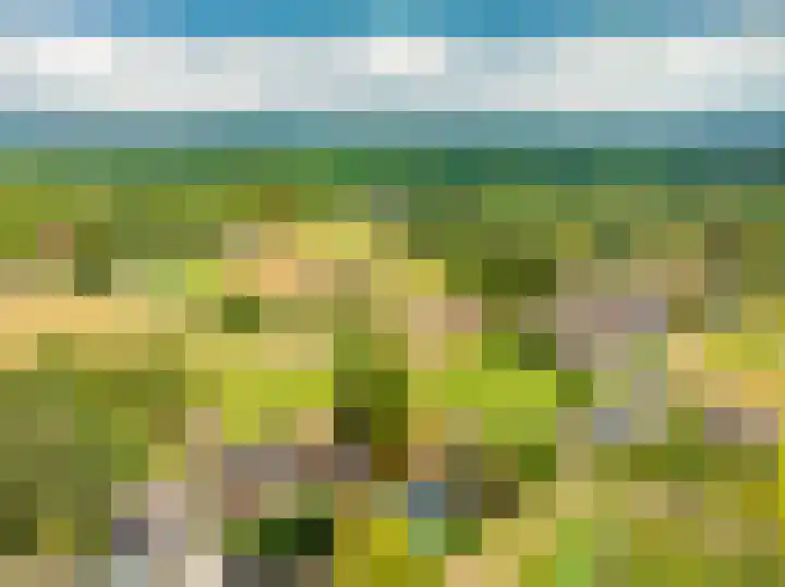 Elburgerweg 4 Hattemerbroek thumbnail 73