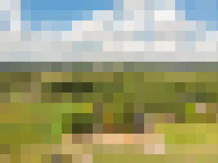 Elburgerweg 4 Hattemerbroek thumbnail 75